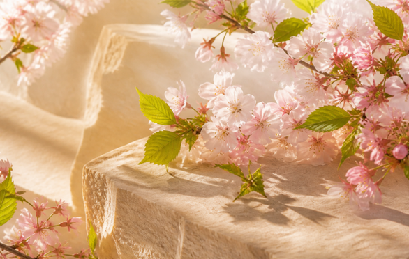 Spring Perfumes