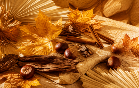 Autumn Perfumes