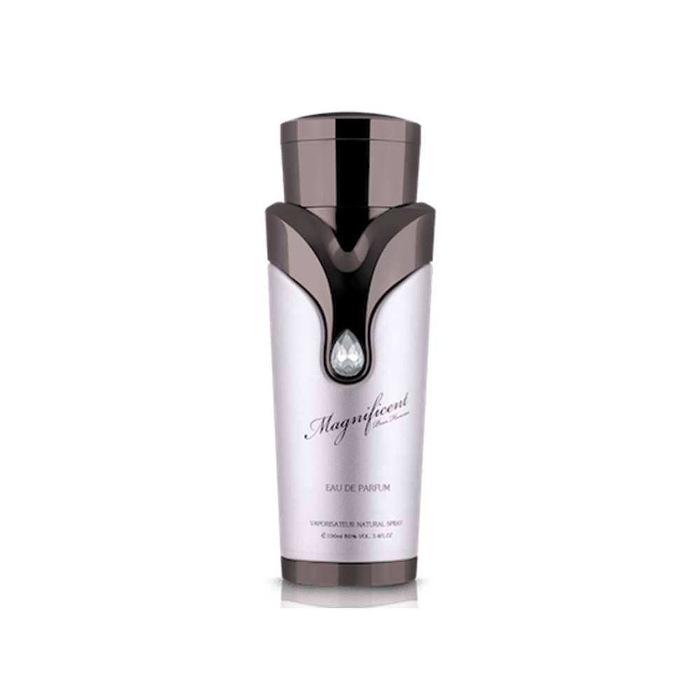 Decant/Partial Of Armaf Magnificent Man EDP