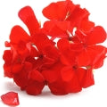 African Geranium