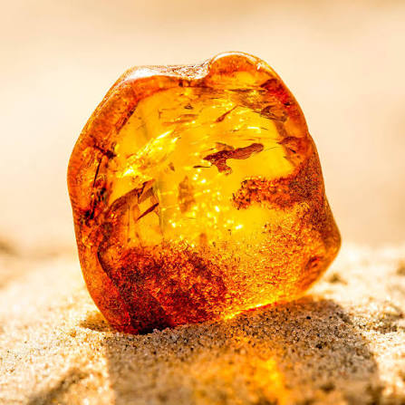 Amber Accord