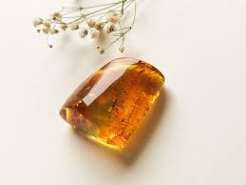 Amber Resin