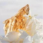 Ambergris
