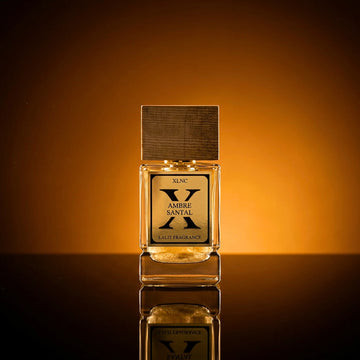 XLNC Ambre Santal 50ml EDP