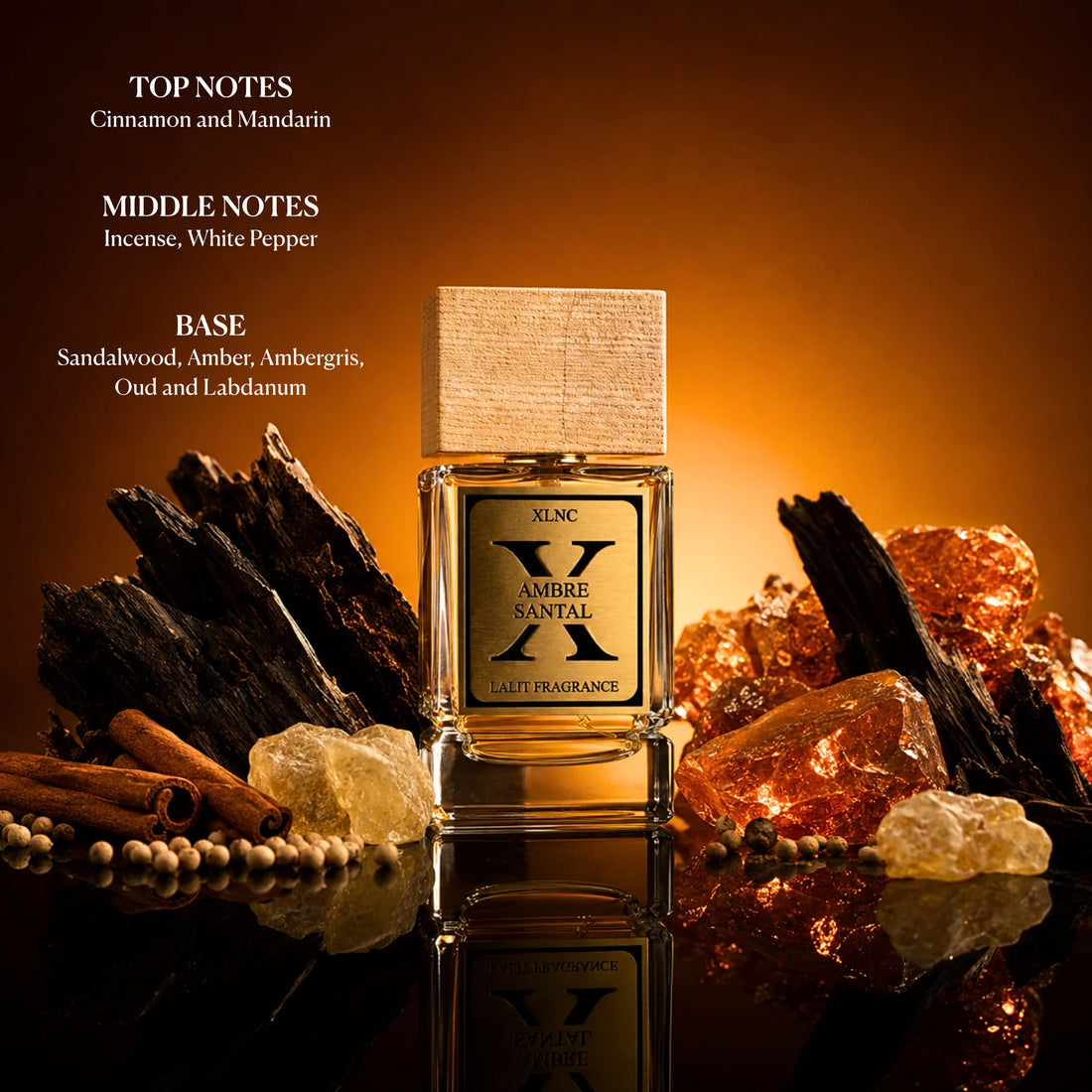 XLNC Ambre Santal 50ml EDP