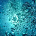 Aquatic Notes
