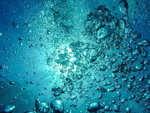 Aquatic Notes