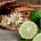 Bergamot
