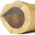 Egyptian Rosewood