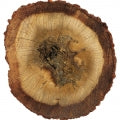  Indian Agar Oud