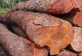 Mahogany
