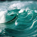 Marine