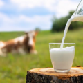 Milk