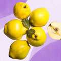 Quince
