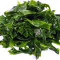Sea Weed