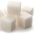 Sugar Cane