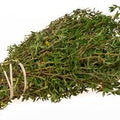 Thyme 