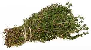 Thyme 