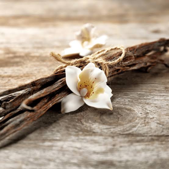 Vanilla Wood