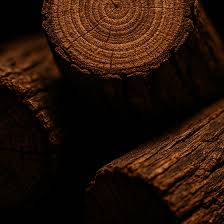 Warm Woody Notes