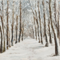 White Woods