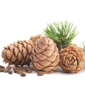 Cedarwood