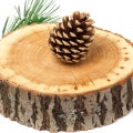 Cedar And Sandalwood