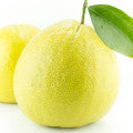 Crisp Bergamot