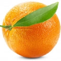 Brazilian orange