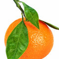 Mandrine