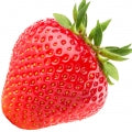 Juicy Strawberry