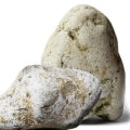 VanillaBase Notes: Ambergris