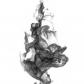 Smoky Nuances